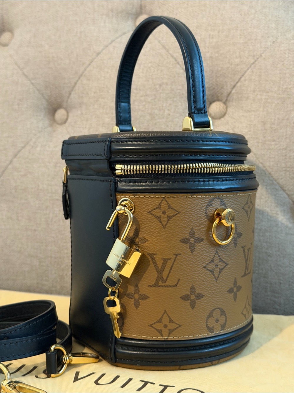 Louis Vuitton Cannes Monogram Reverse - Picture 4 of 13